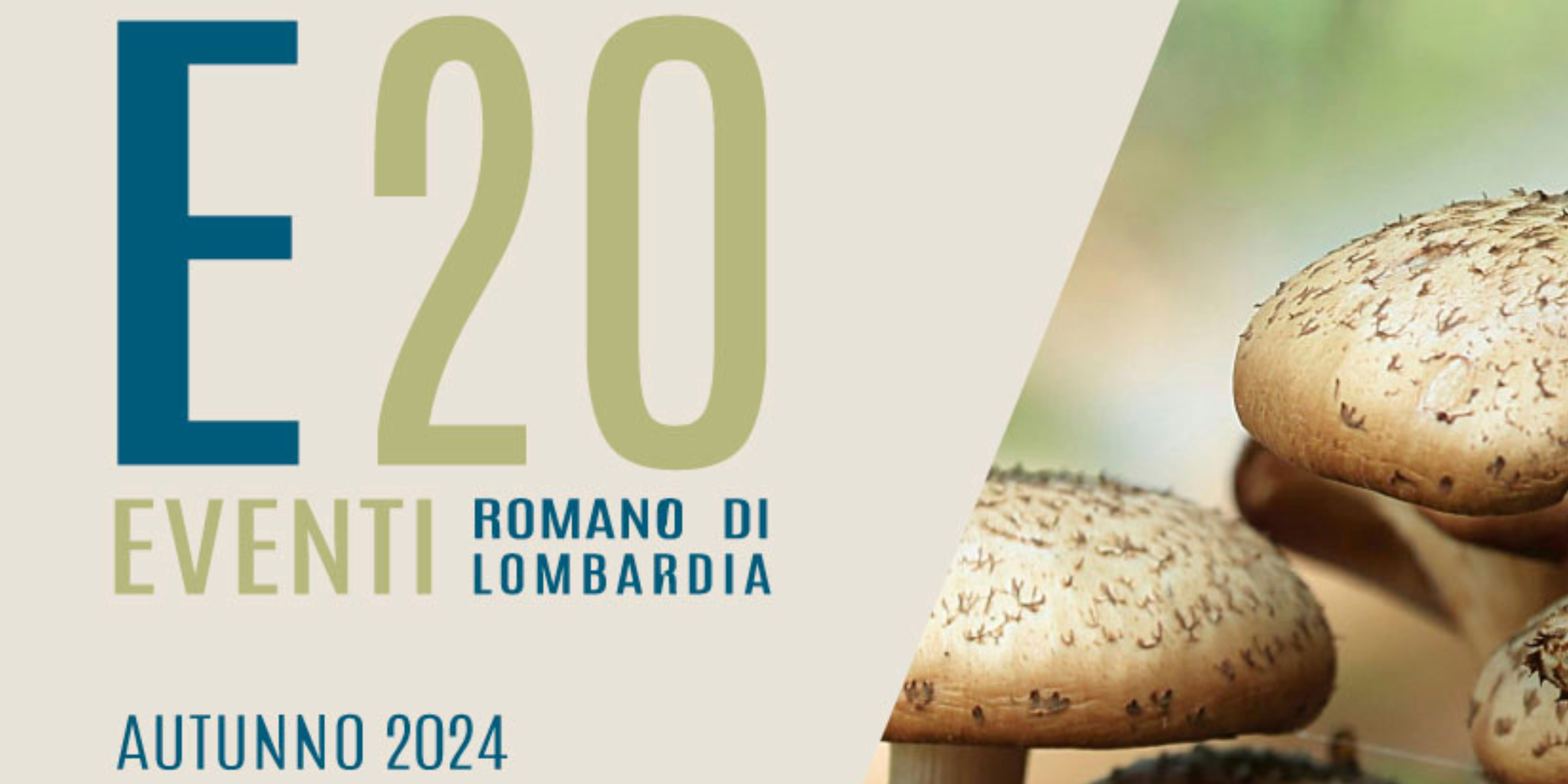 Scopri il calendario delle iniziative e degli eventi del periodo autunnale della città di Romano di Lombardia